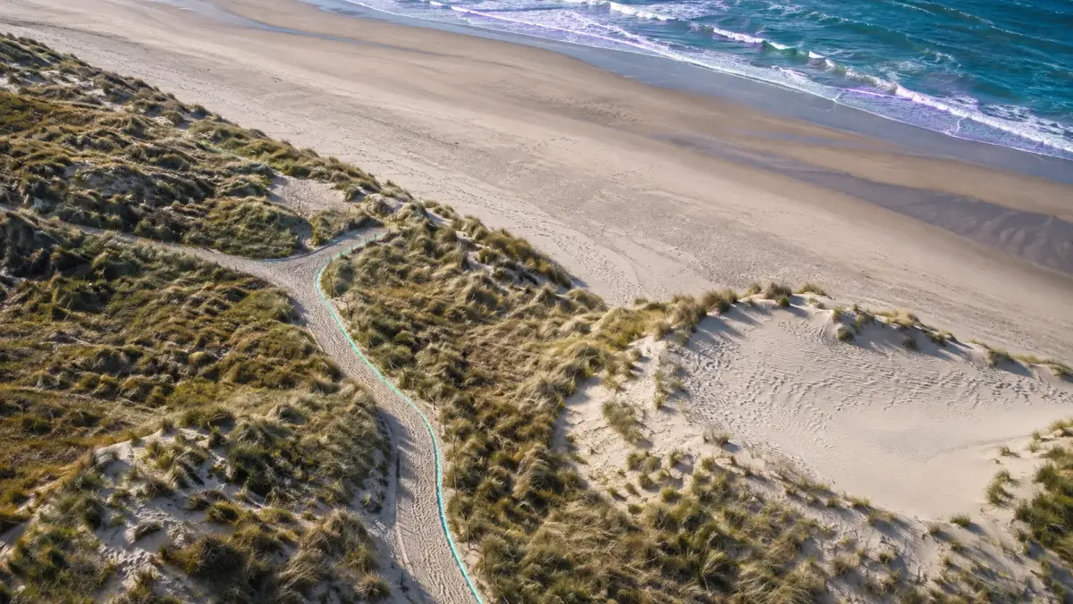 Dünengräser und Küste auf Borkum — KI-generiertes Bild